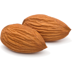 Almond PNG-50652